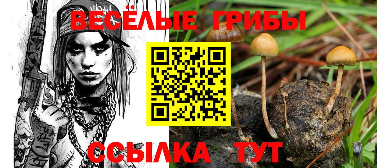 Галлюциногенные грибы прущие грибы Нижнекамск