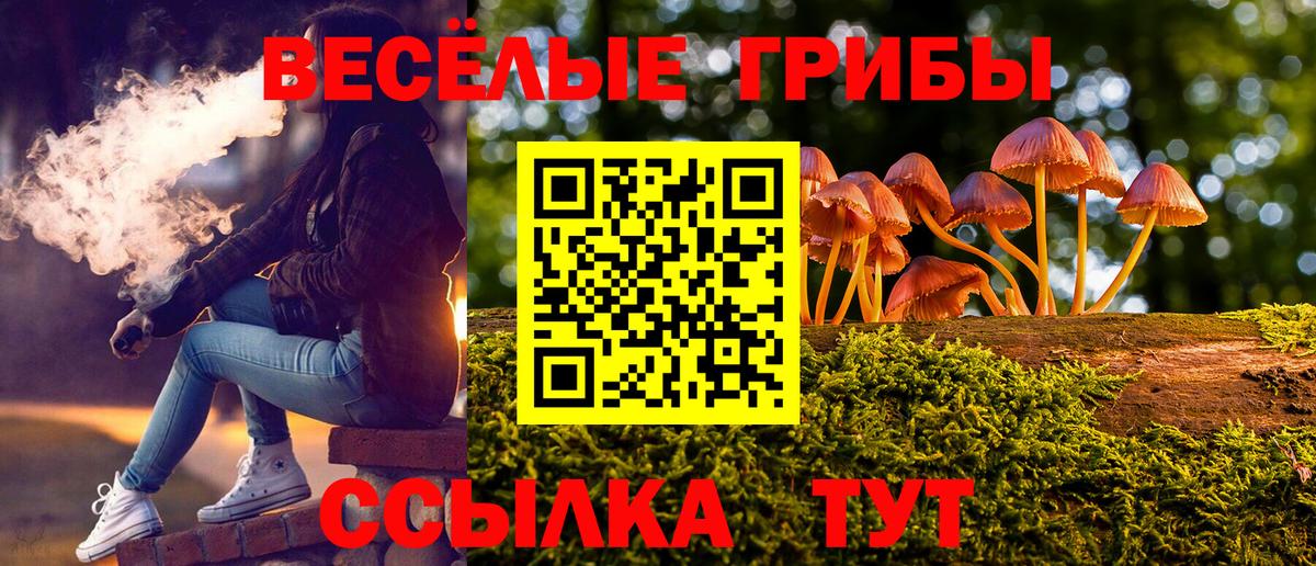 Нижнекамск  Галлюциногенные грибы MAGIC MUSHROOMS  Вход с VPN 